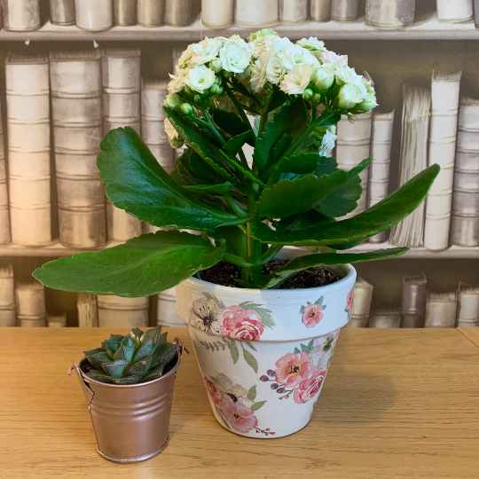 Vintage Flower Decoupaged Plant Pot